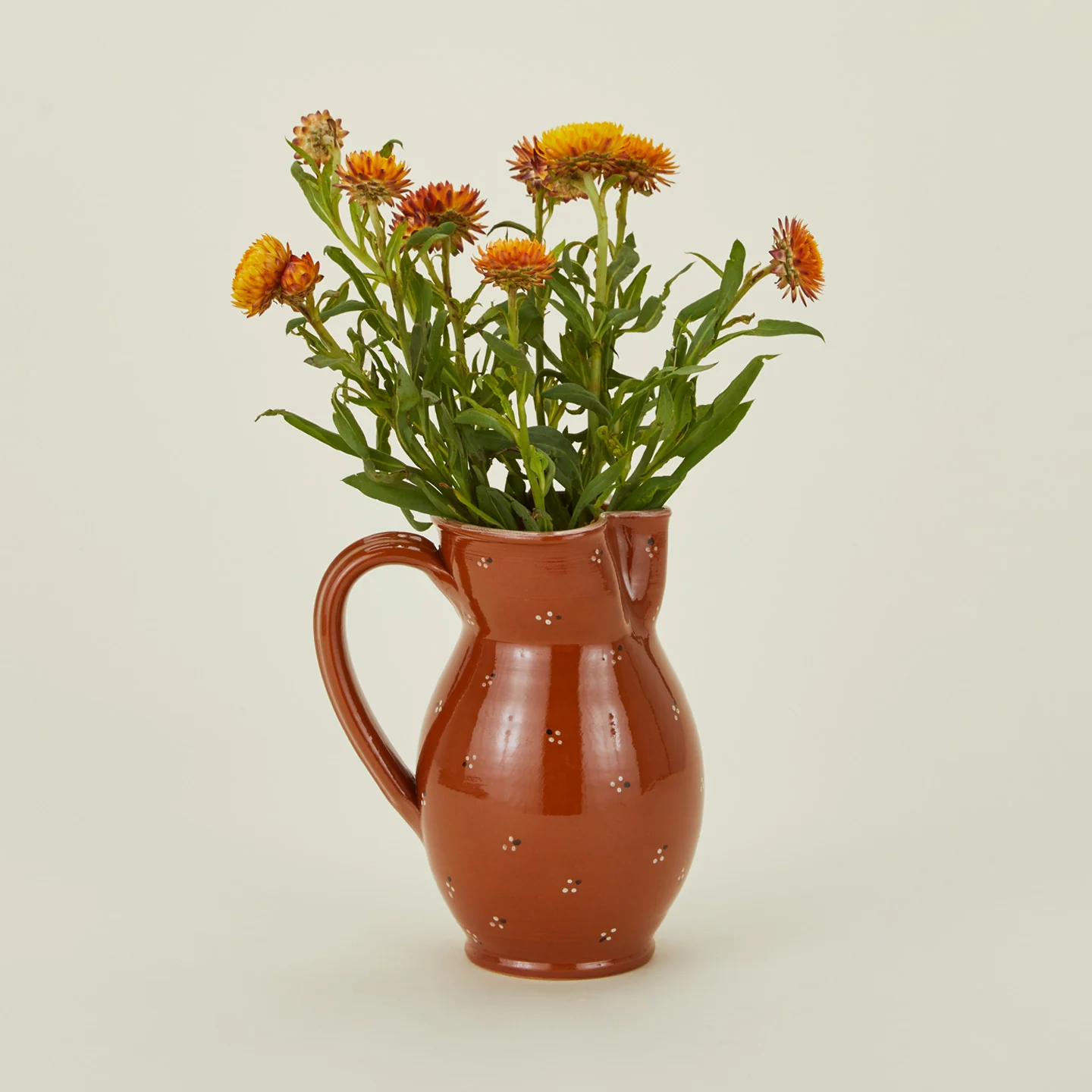 Dotty Pitcher - Image 2