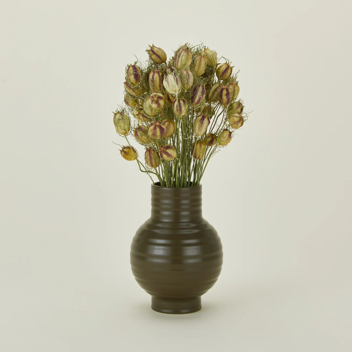 Dried Nigella - Image 2