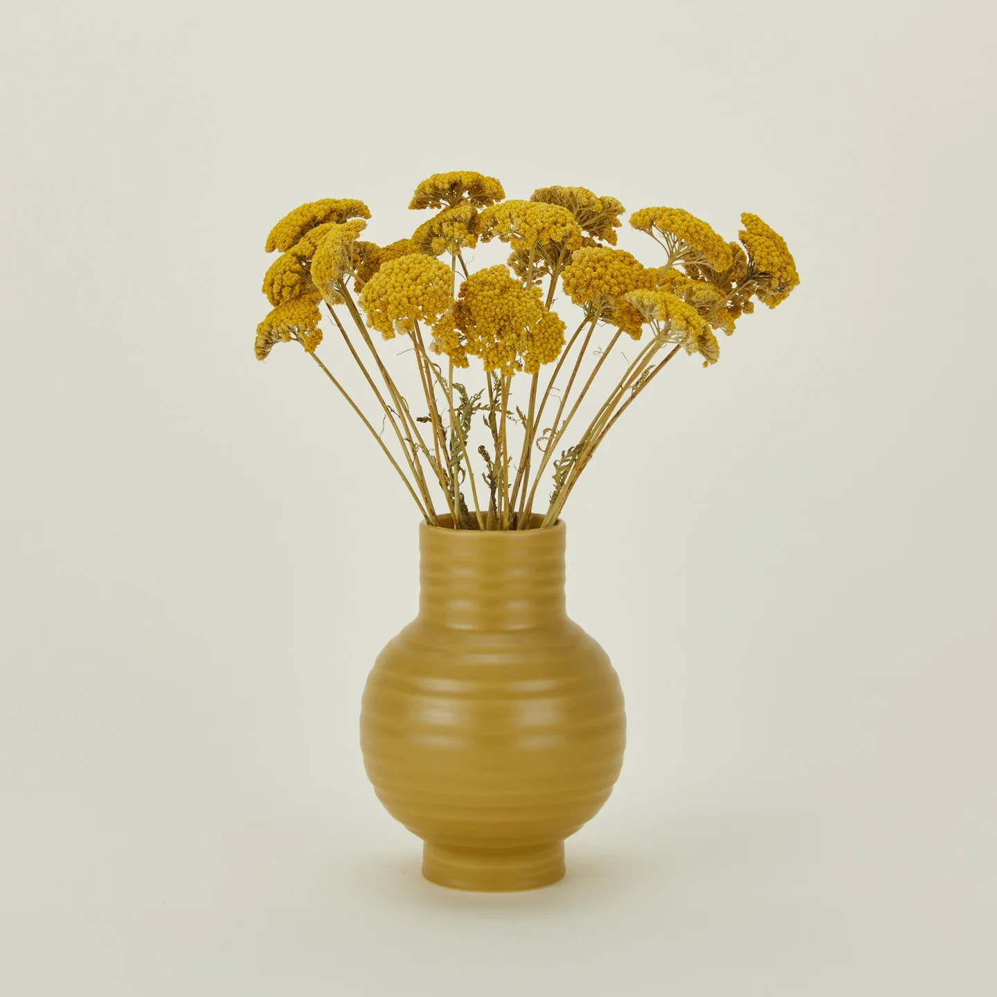 Dried Yarrow - Image 2