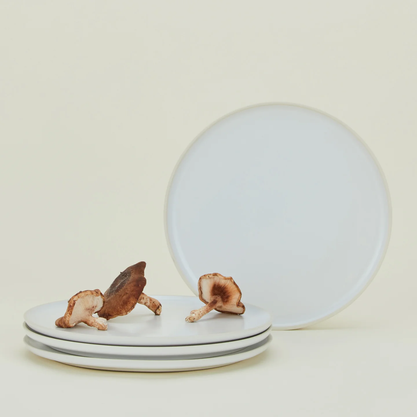 Modernist Dinner Plate