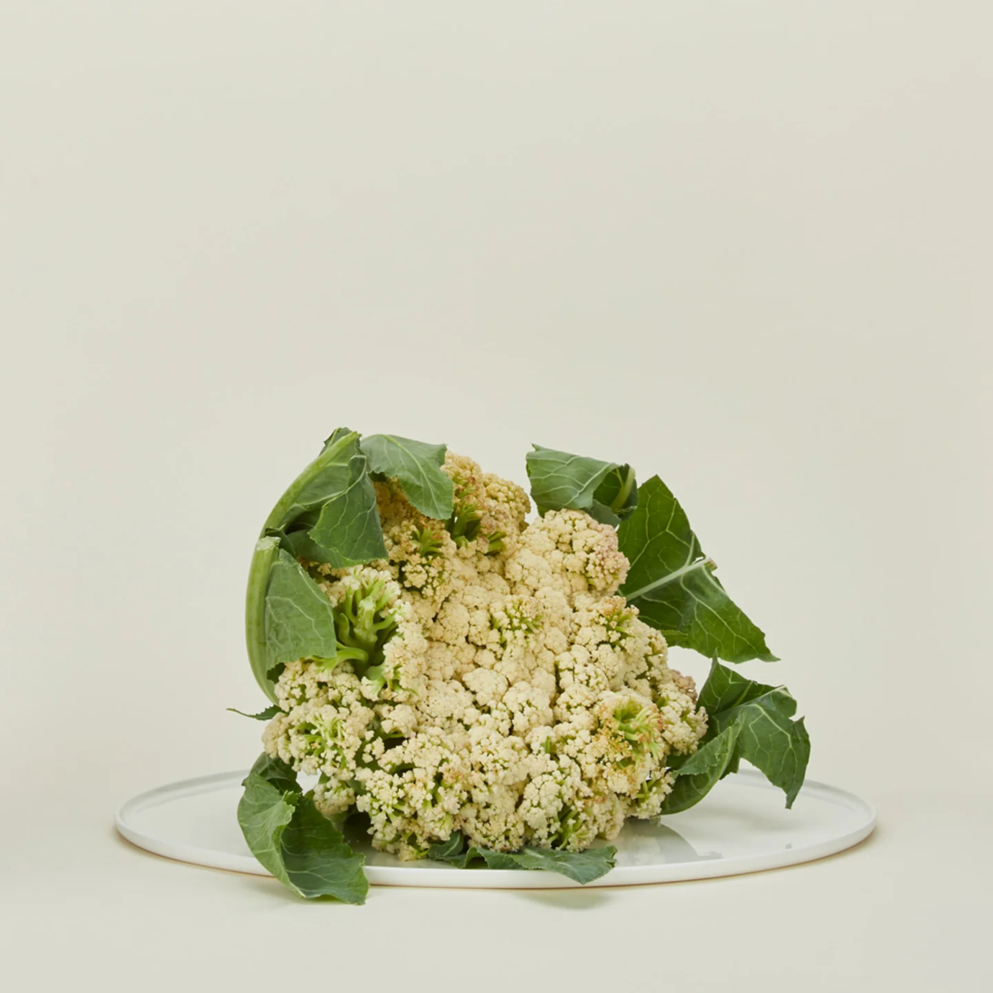 Simple Porcelain Serving Platter - Image 2